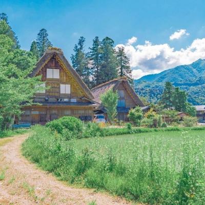 乐鱼(中国)官方网站下载手机版